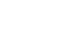 The Children's Museum Guild